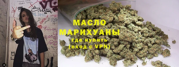 стафф Гусев