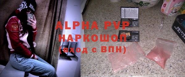 ПСИЛОЦИБИНОВЫЕ ГРИБЫ Гусиноозёрск
