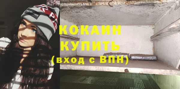 стафф Гусев