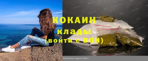 ПСИЛОЦИБИНОВЫЕ ГРИБЫ Гусиноозёрск
