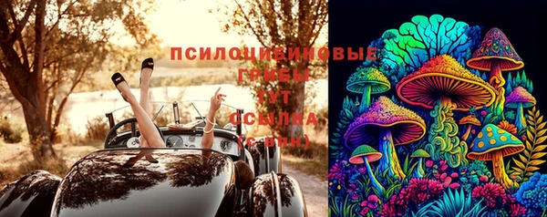 ПСИЛОЦИБИНОВЫЕ ГРИБЫ Гусиноозёрск