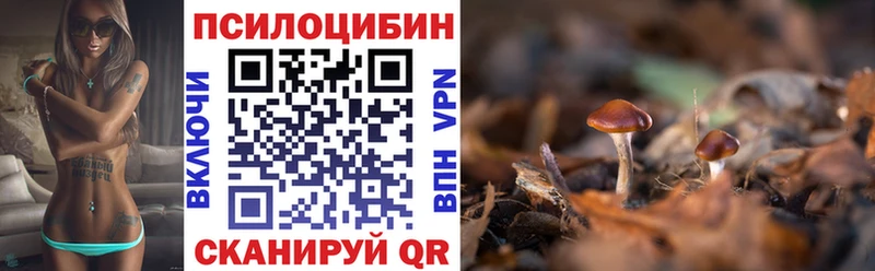 Купить закладки  Железногорск  Псилоцибиновые грибы мухоморы 